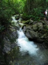 thumbnail of "Creek Along The Alum Cave Bluffs Trail - 10"