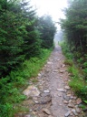 thumbnail of "Misty Post-Breakfast Trail - 32"
