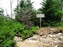 thumbnail of "Rainbow Falls Trail Sign"