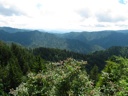thumbnail of "Trees & Mountains Along The Alum Cave Bluffs Trail - 14"