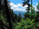 thumbnail of "Trees & Mountains Along The Alum Cave Bluffs Trail - 17"