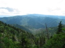 thumbnail of "Trees & Mountains Along The Alum Cave Bluffs Trail - 20"