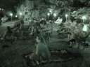 thumbnail of "The Firework Watchers- Night Vision"