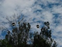 thumbnail of "Zoo Flying Things"