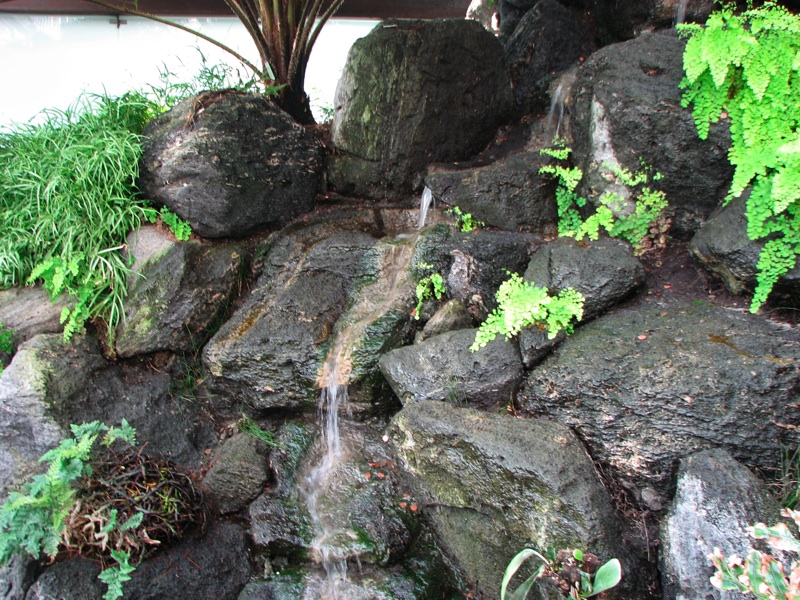 Conservatory Waterfall - 1