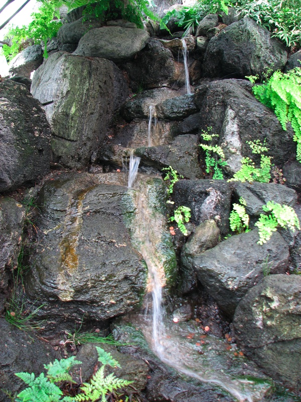 Conservatory Waterfall - 2