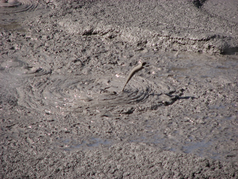 Bubbling Mud Pools - 1