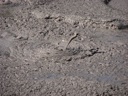 thumbnail of "Bubbling Mud Pools - 1"