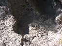 thumbnail of "Bubbling Mud Pools - 2"