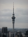 thumbnail of "Sky Tower From Mount Hobson"