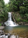 thumbnail of "Waiau Falls"