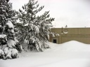 Thumbnail of Image- Snowy Trees And Trapped Garage Door