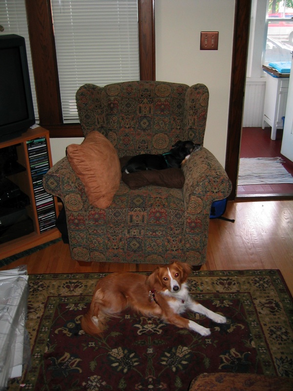Pirate And Josie Chair